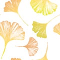 Floral seamless vector pattern with hand drawn japanese ginkgo biloba leaves. Royalty Free Stock Photo